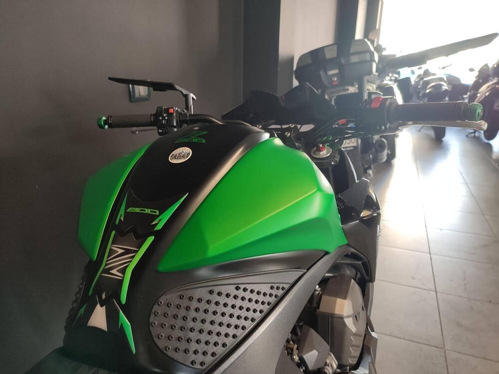 Kawasaki Z 800 e (2012 - 13) (7)
