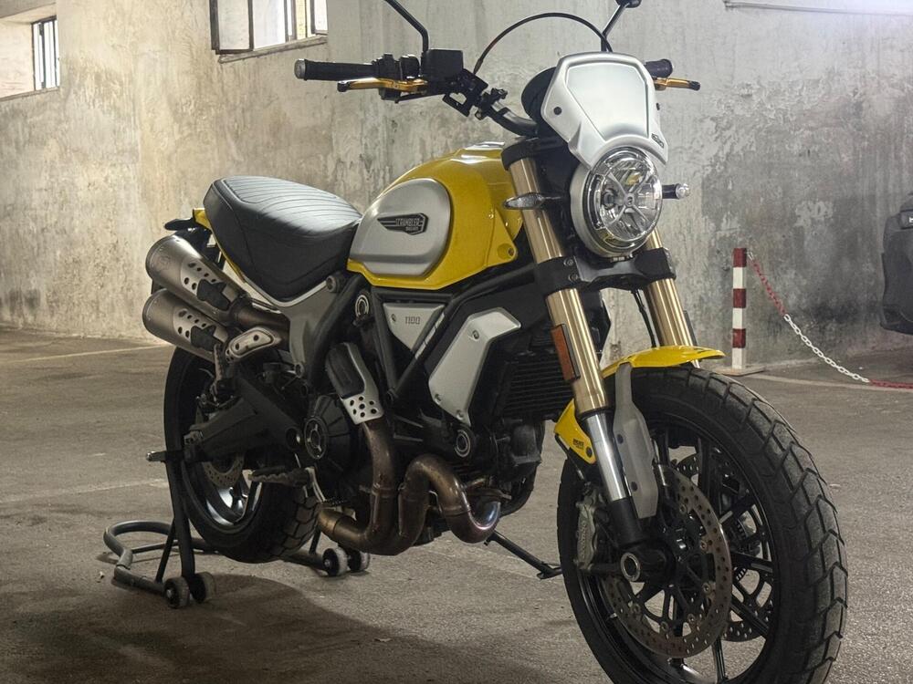 Ducati Scrambler 1100 (2018 - 20) (3)