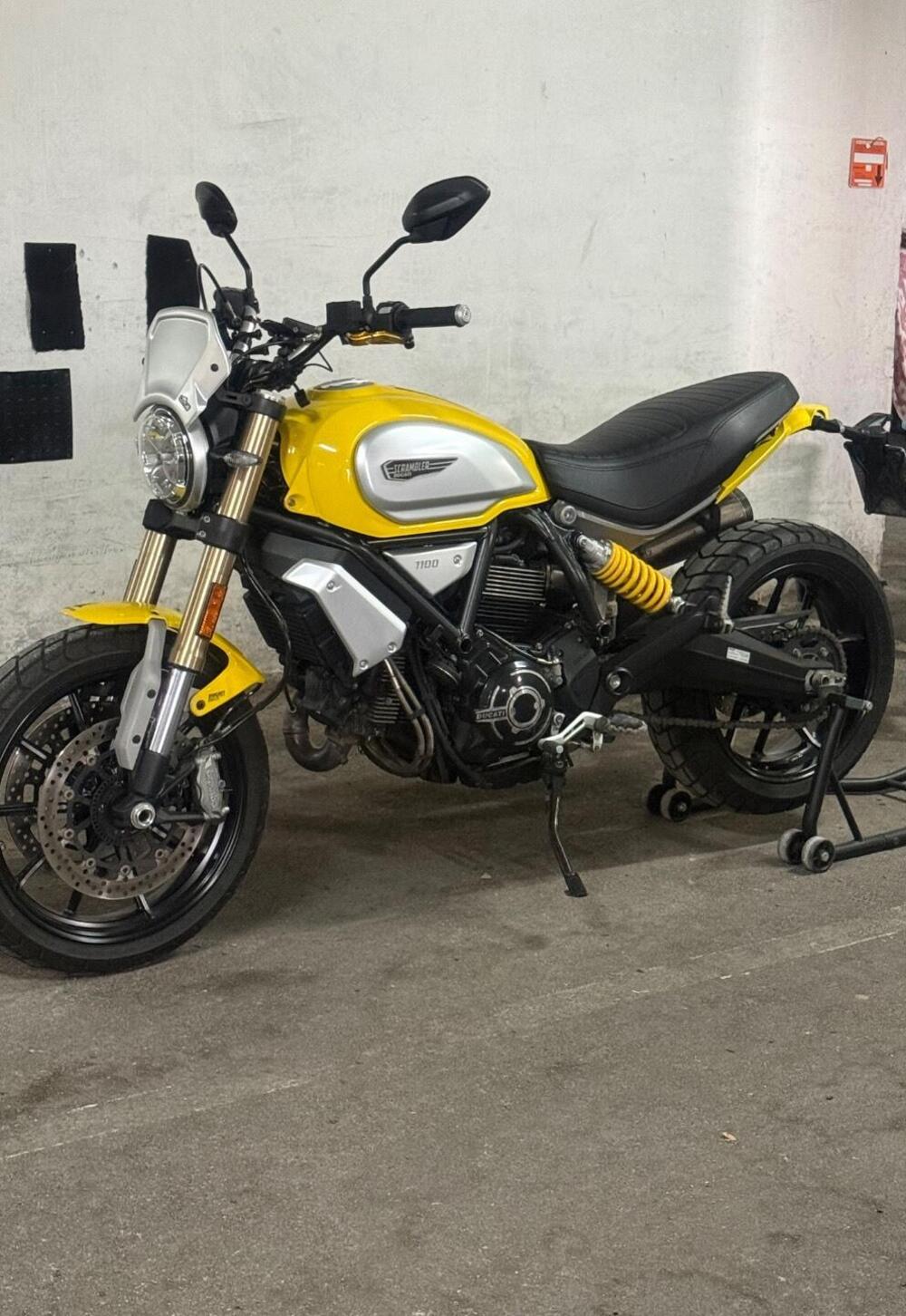 Ducati Scrambler 1100 (2018 - 20) (4)