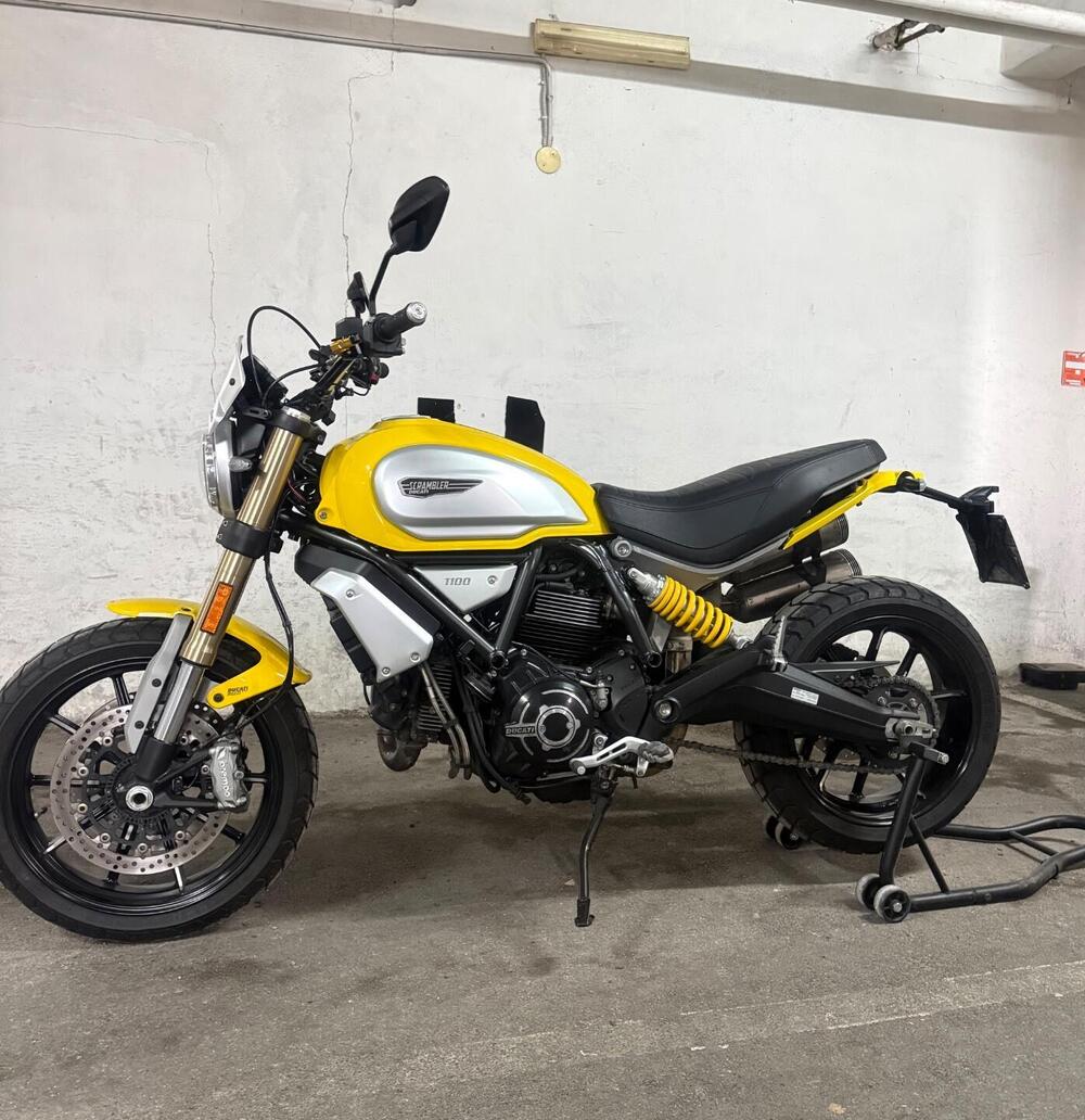 Ducati Scrambler 1100 (2018 - 20) (5)