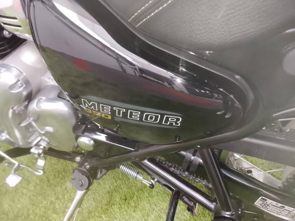 Royal Enfield Meteor 350 Aurora (2024 - 26) (7)