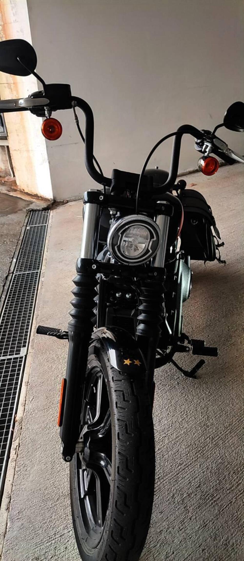 Harley-Davidson Street Bob 114 (2021 - 24) (7)