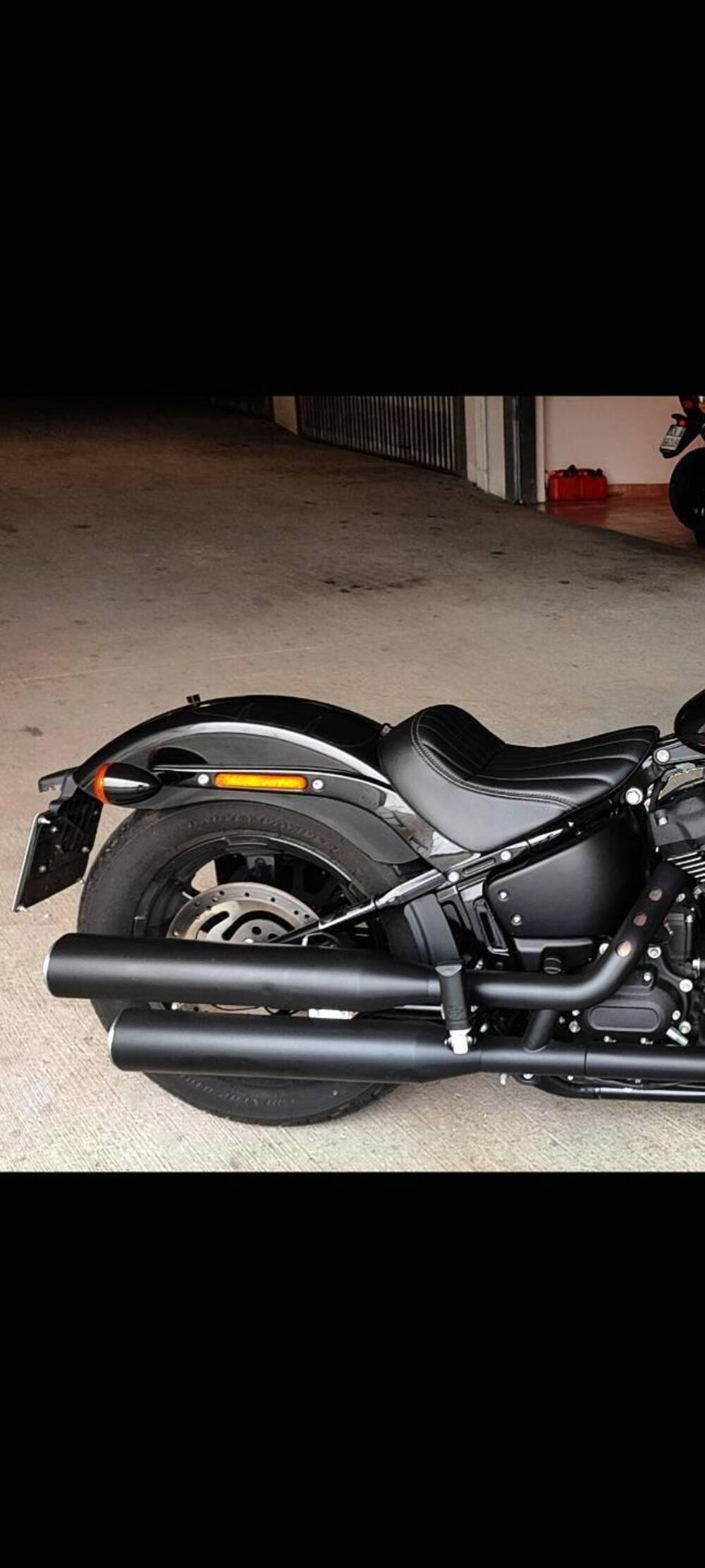 Harley-Davidson Street Bob 114 (2021 - 24) (3)
