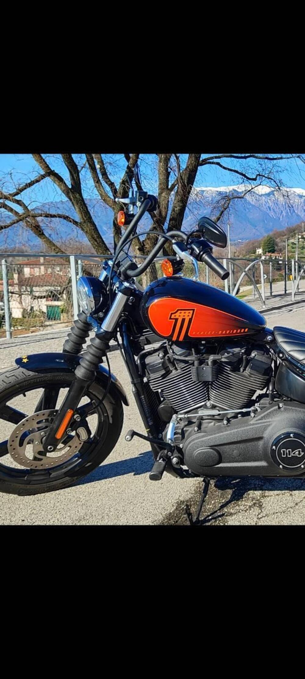 Harley-Davidson Street Bob 114 (2021 - 24) (6)