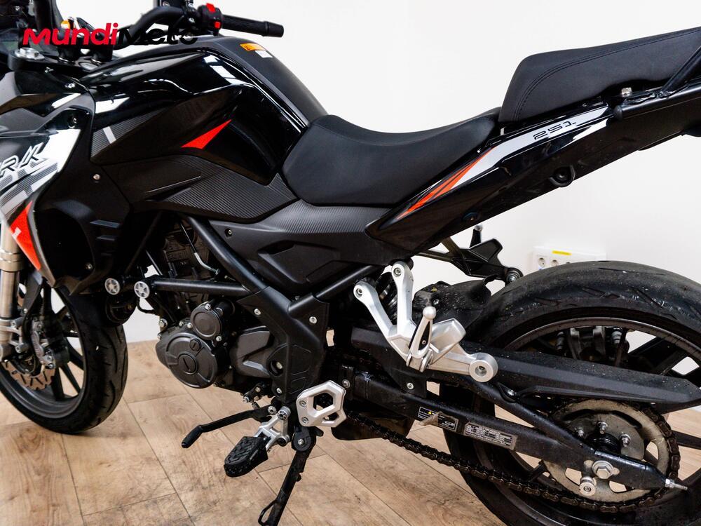 Benelli TRK 251 (2019 - 20) (10)