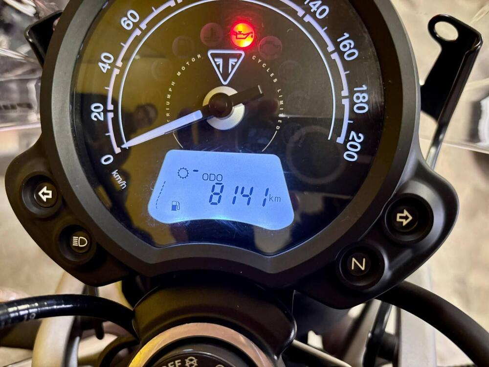Triumph Street Scrambler 900 (2019 - 20) (5)