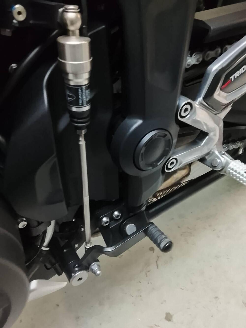 Triumph Trident 660 (2021 - 24) (2)