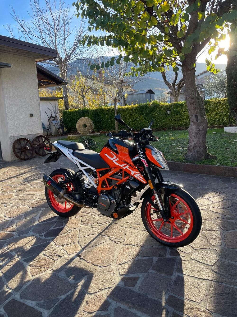 KTM 390 Duke ABS (2017 - 20) (3)