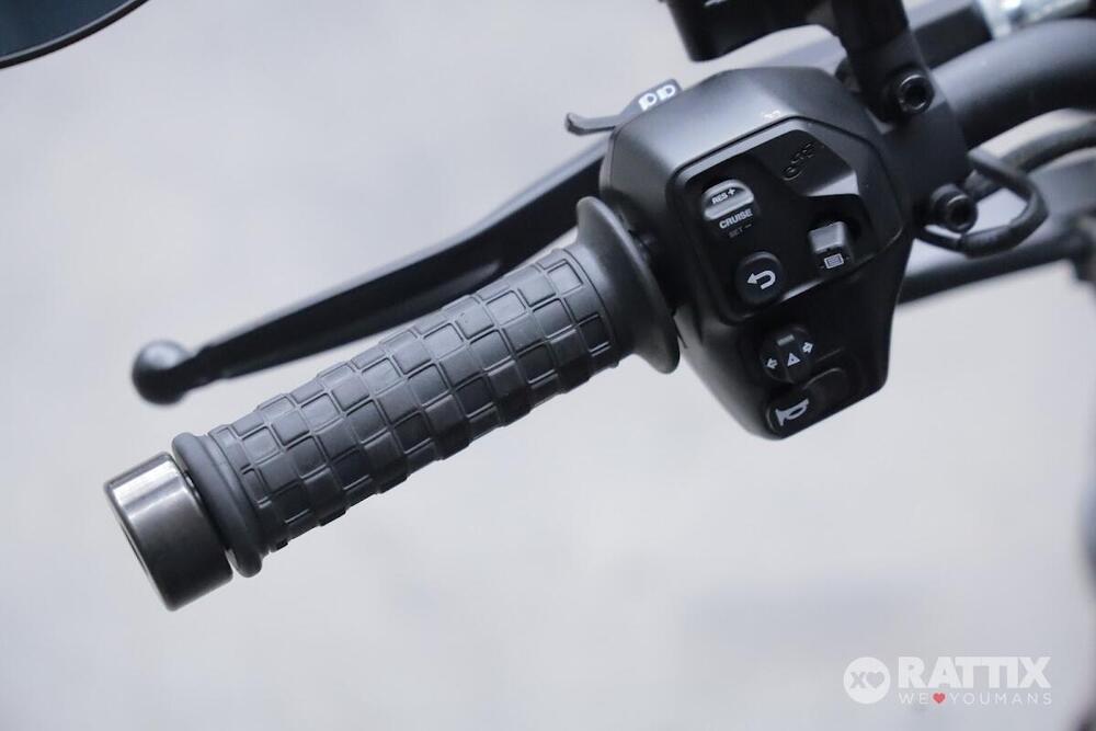 Indian FTR 1200 S (2021 - 22) (11)