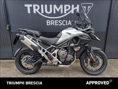 Triumph Tiger 1200 GT Pro (2024 - 26) usata