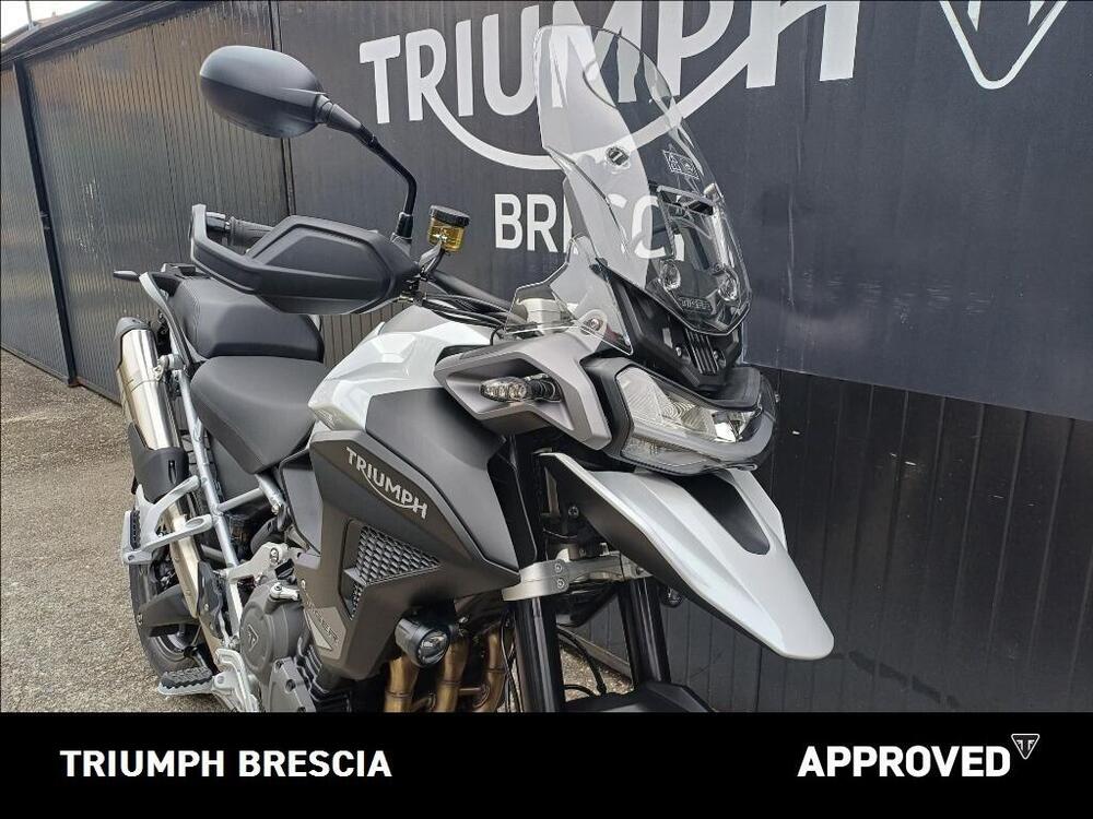 Triumph Tiger 1200 GT Pro (2024 - 26) (6)