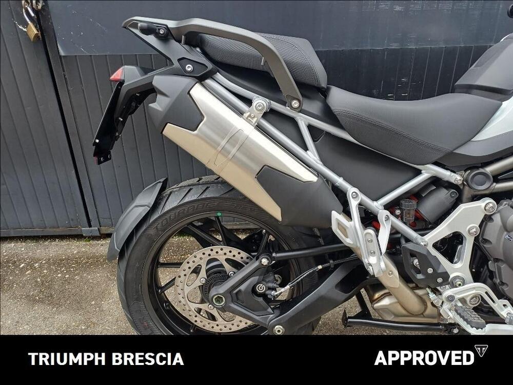 Triumph Tiger 1200 GT Pro (2024 - 26) (4)