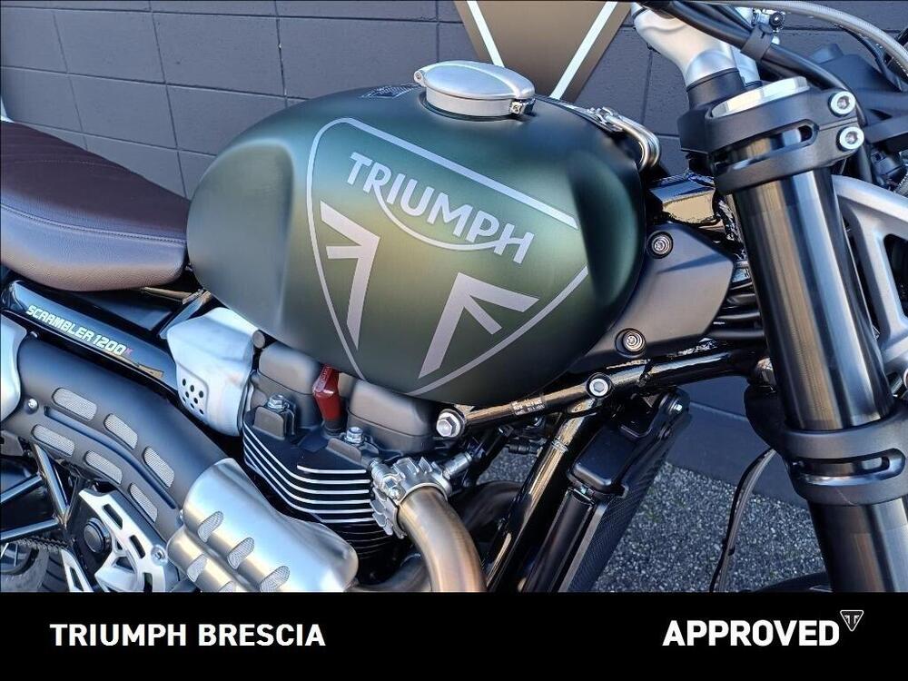 Triumph Scrambler 1200 X (2024 - 26) (6)