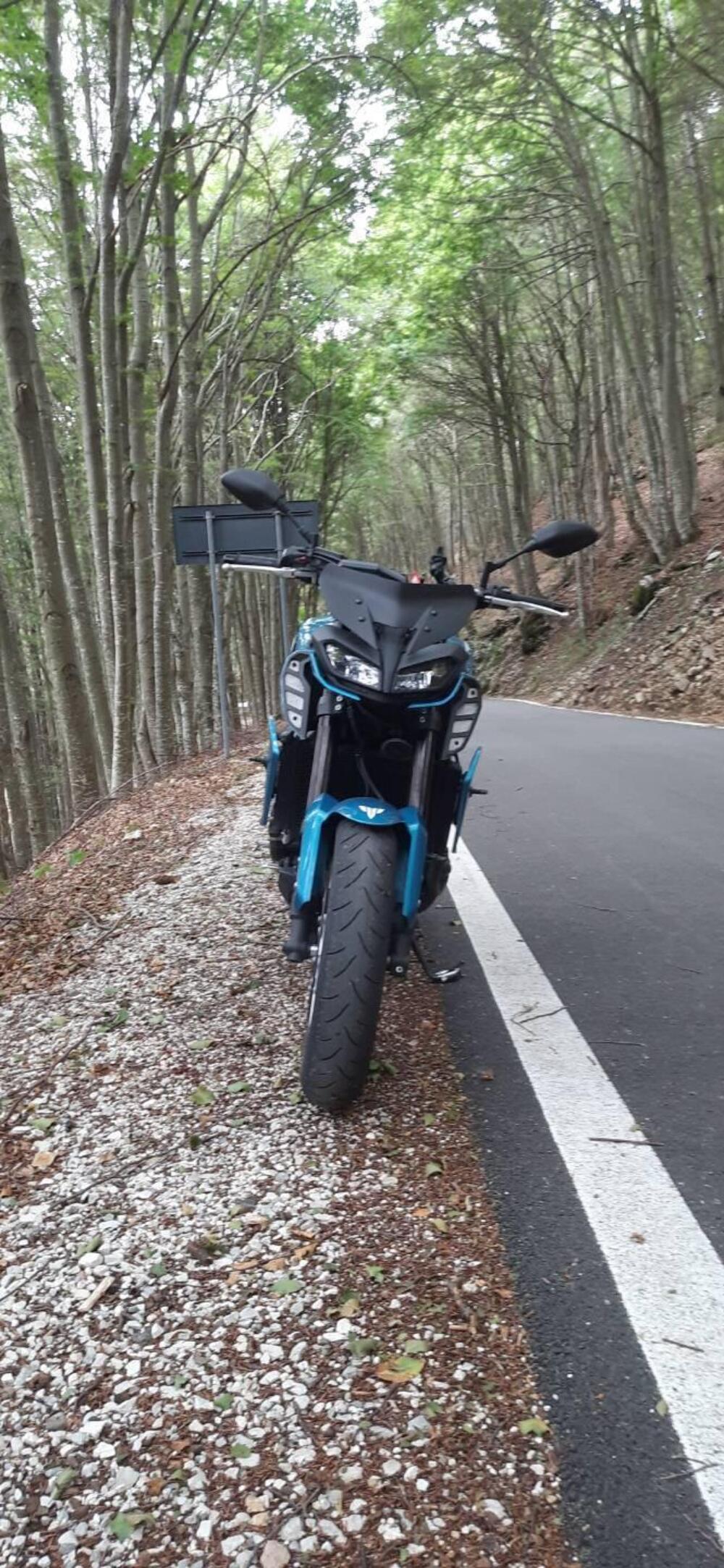 Yamaha MT-09 (2017 - 20) (4)