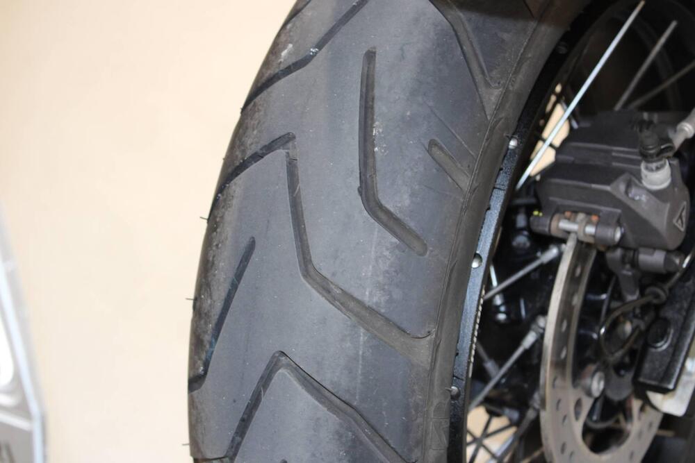 Triumph Tiger 900 Rally Pro (2024 - 26) (7)