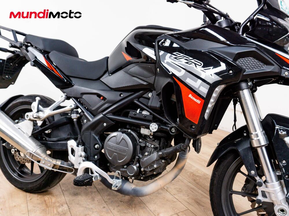 Benelli TRK 251 (2019 - 20) (5)