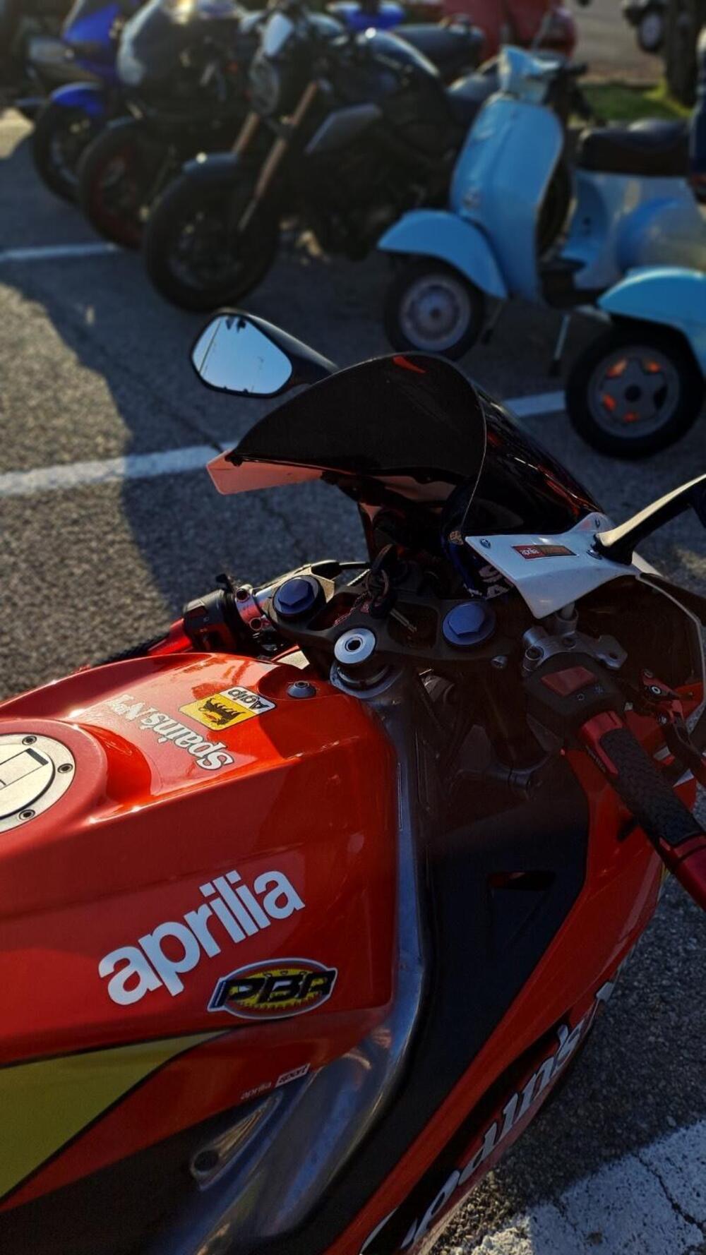 Aprilia RS 125 (2006 - 14) (10)
