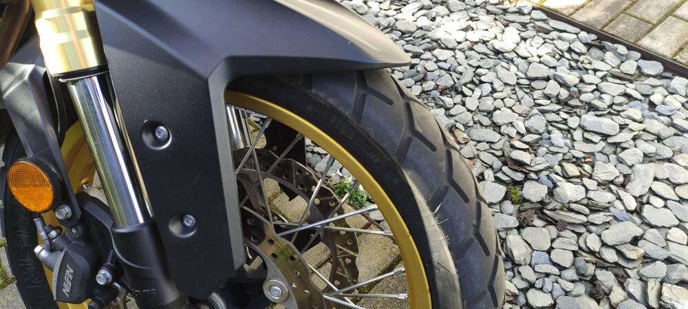 Voge Valico 525DSX (2023 - 26) (3)