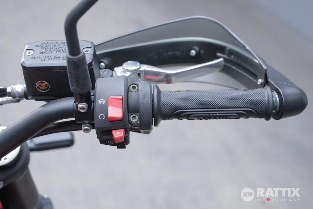 Benelli Leoncino 500 ABS (2017 - 20) (12)