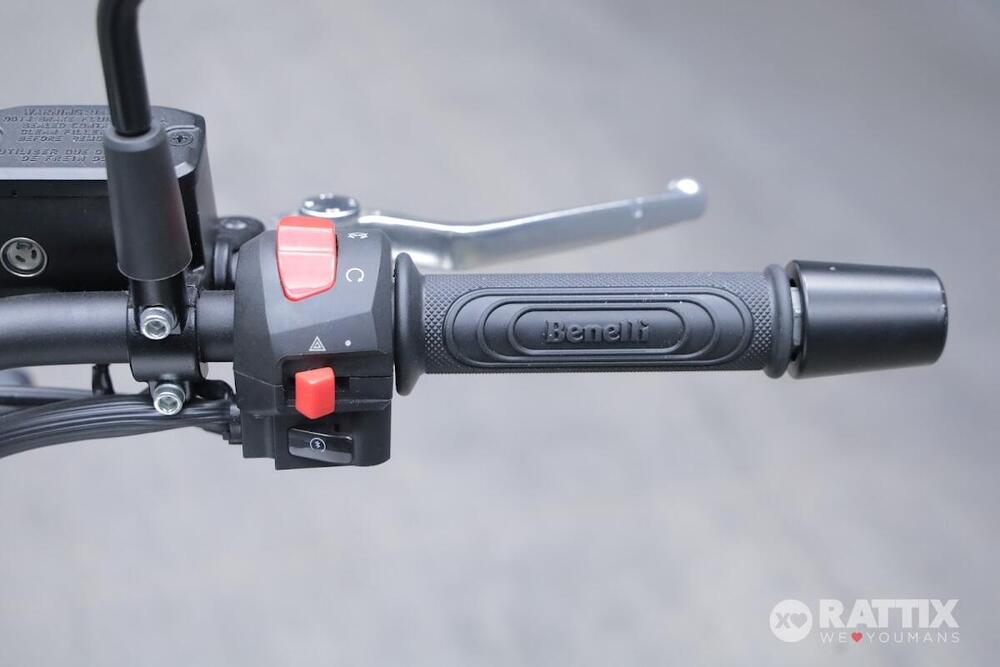 Benelli Leoncino 250 (2021 - 25) (12)