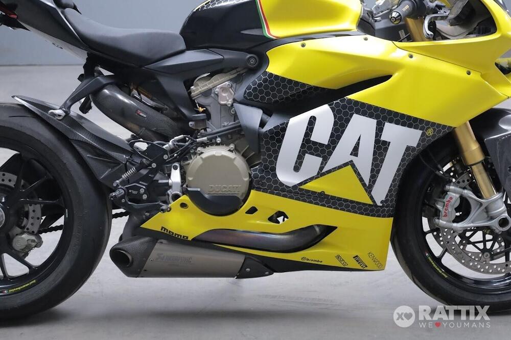 Ducati 1299 Panigale (2015 - 17) (9)