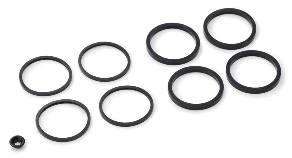 Kit guarnizioni paraolio e parapolvere per pinza B 