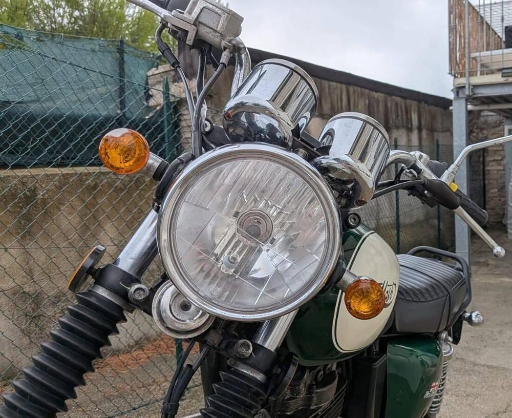 Mash Italia Five Hundred 400 (2017 - 20) (4)