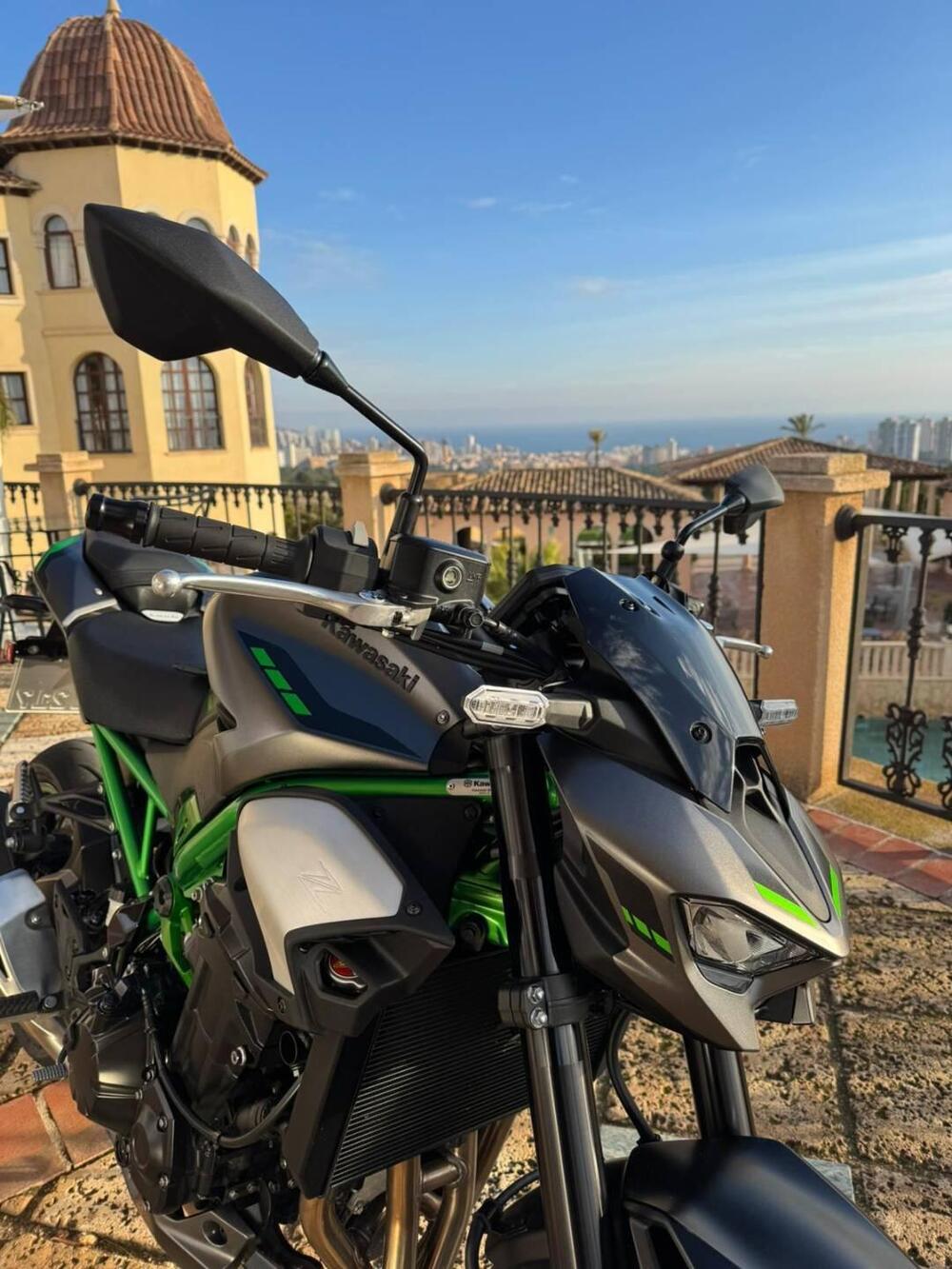 Kawasaki Z 900 (2025 - 26) (3)