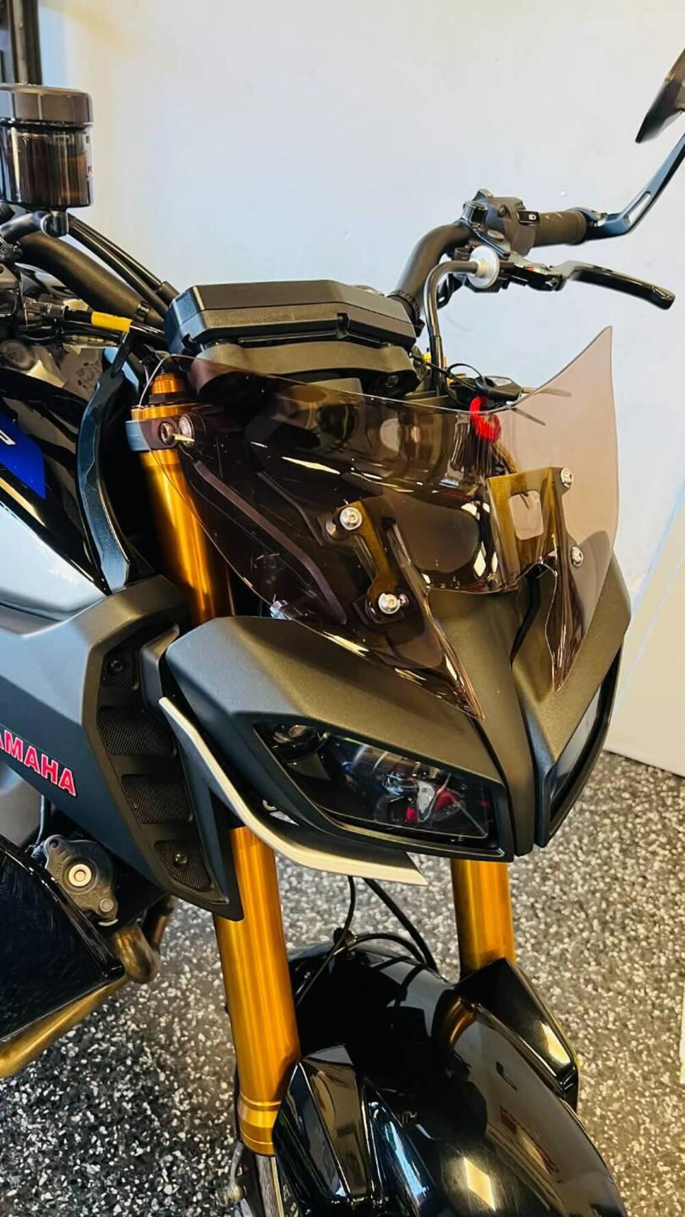 Yamaha MT-09 SP (2018 - 20) (3)