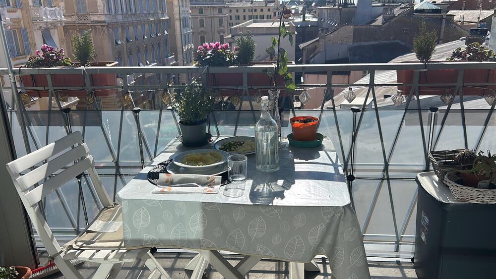 KTM 125 Duke (2024 - 25) (3)