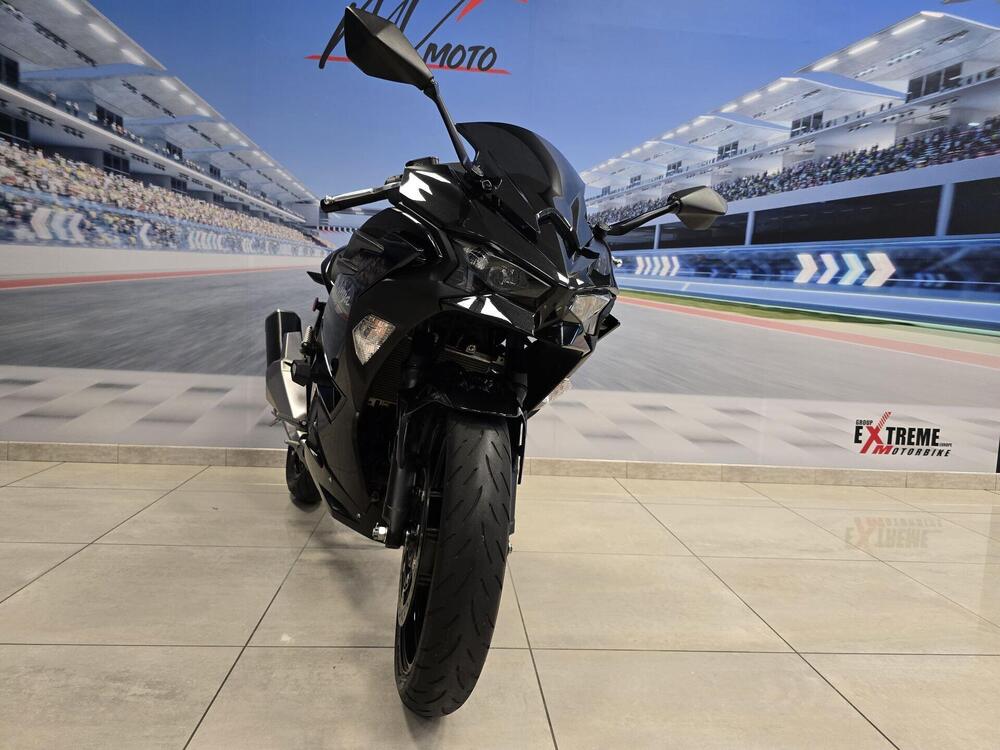 Kawasaki Ninja 500 (2024 - 26) (2)