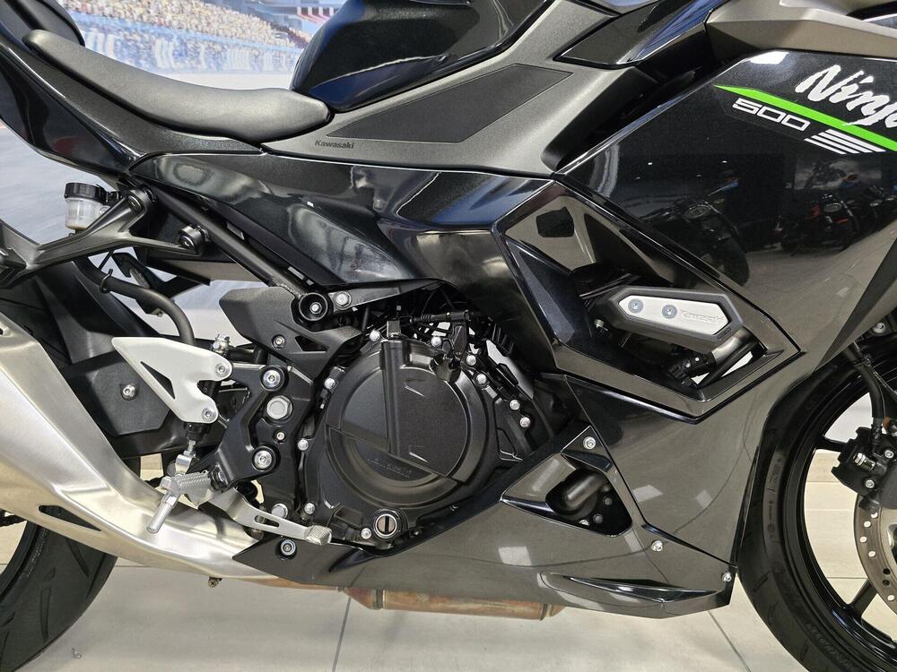 Kawasaki Ninja 500 (2024 - 26) (11)
