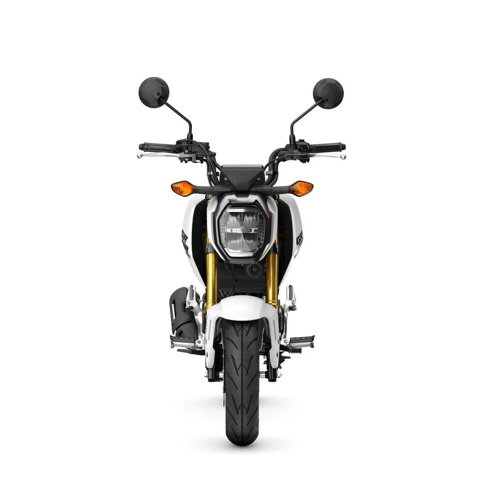 Honda MSX 125 Grom (2021 - 26) (3)
