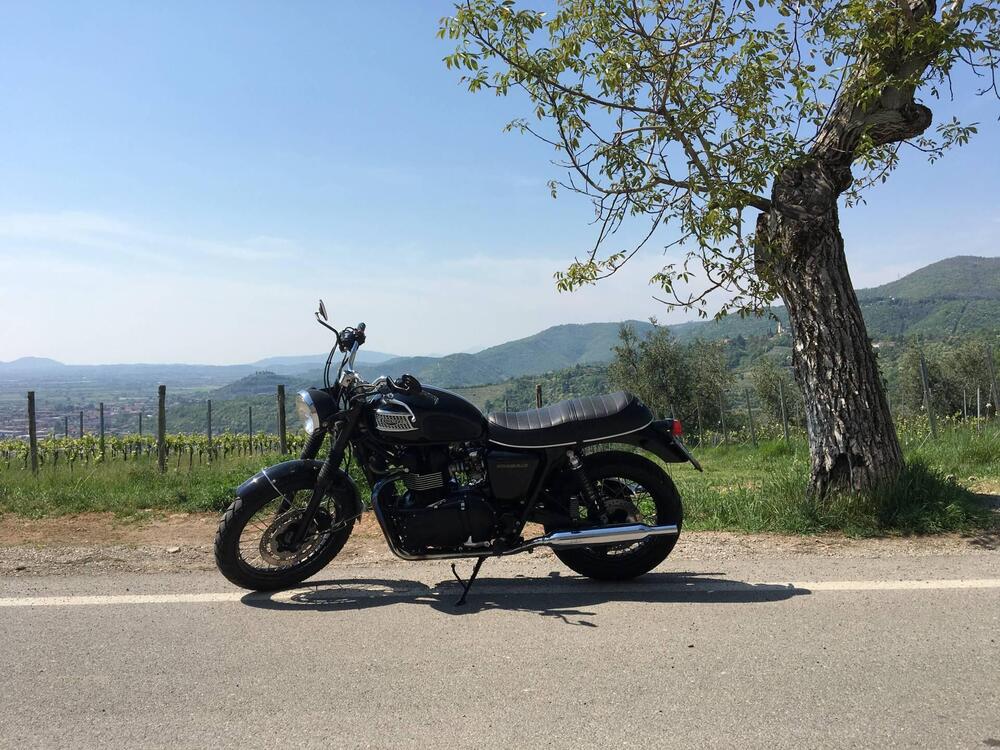 Triumph Bonneville 800 (2002 - 07)