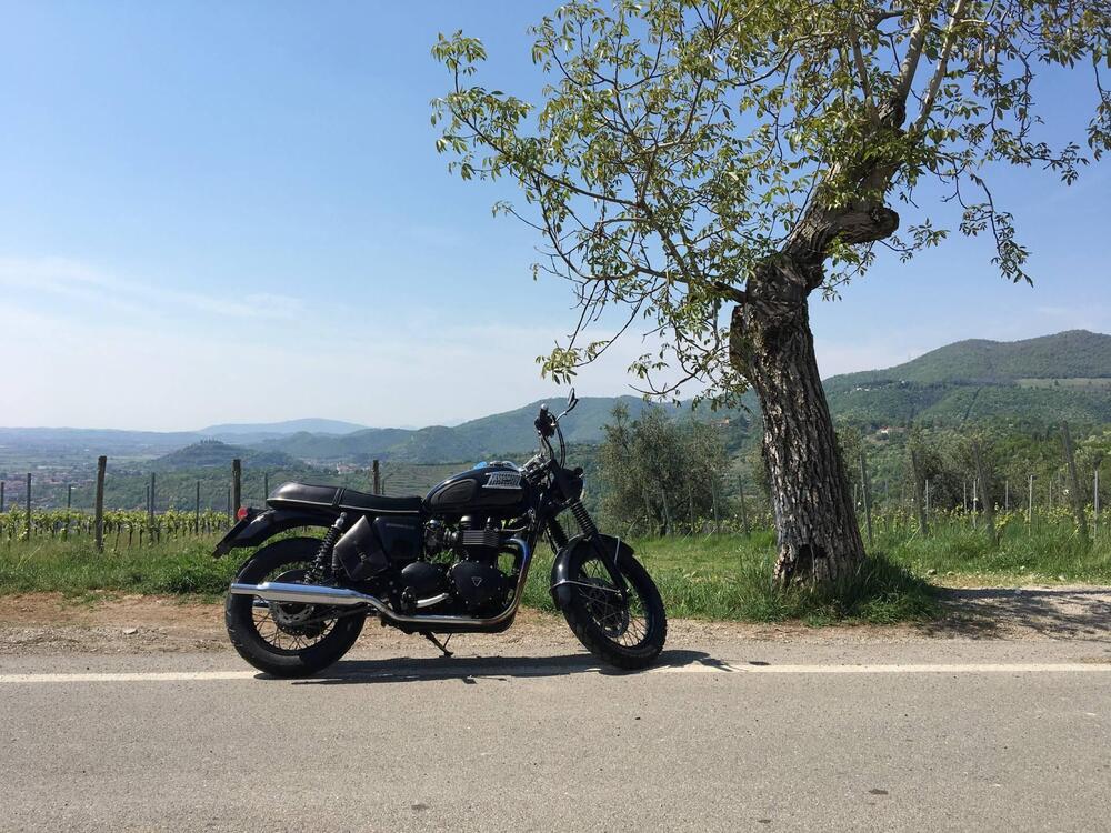 Triumph Bonneville 800 (2002 - 07) (3)