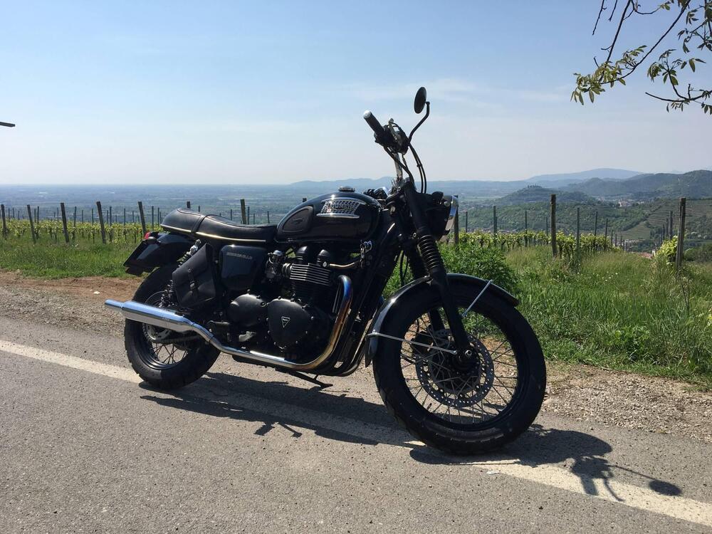 Triumph Bonneville 800 (2002 - 07) (5)