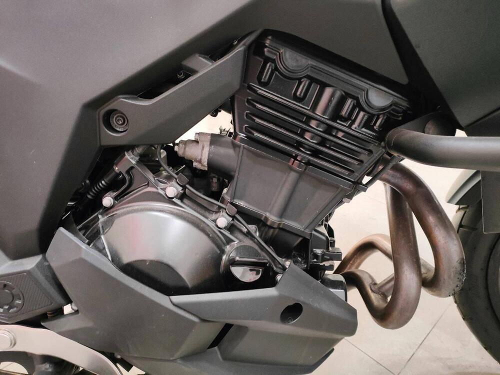 Kawasaki Versys-X 300 (2017 - 20) (5)