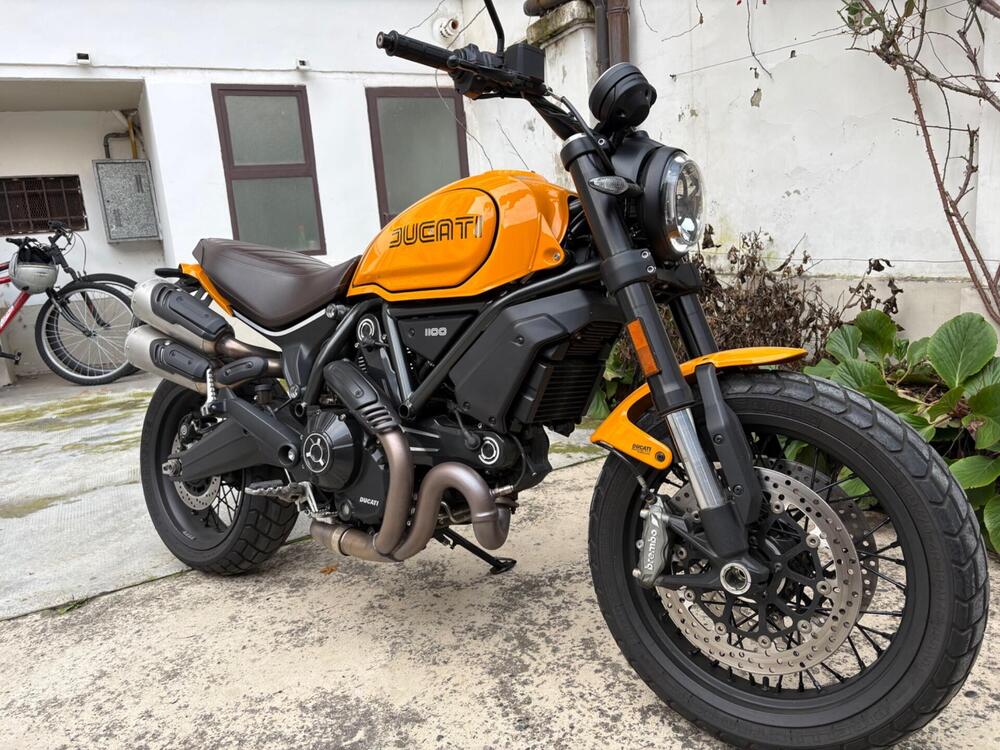 Ducati Scrambler 1100 Tribute Pro (2022 - 24) (2)