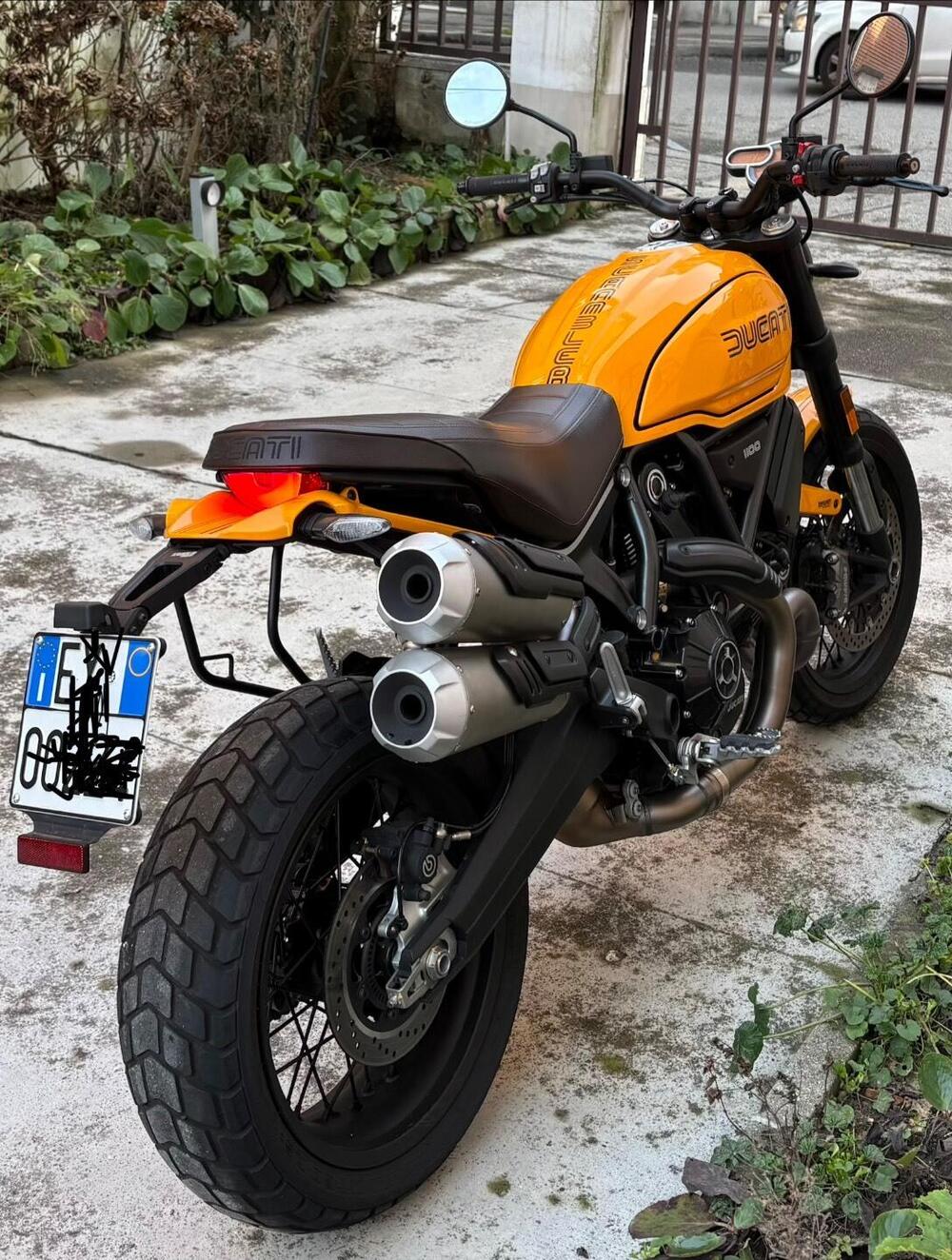 Ducati Scrambler 1100 Tribute Pro (2022 - 24) (3)