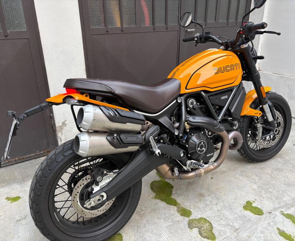Ducati Scrambler 1100 Tribute Pro (2022 - 24) (5)