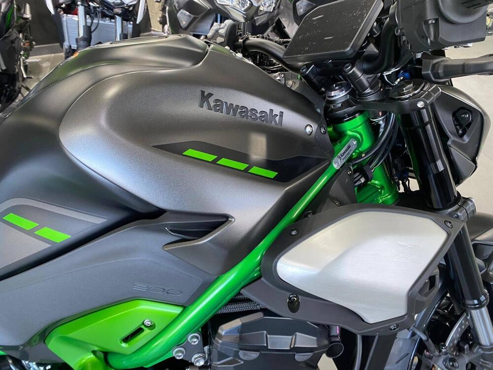 Kawasaki Z 900 (2025 - 26) (7)