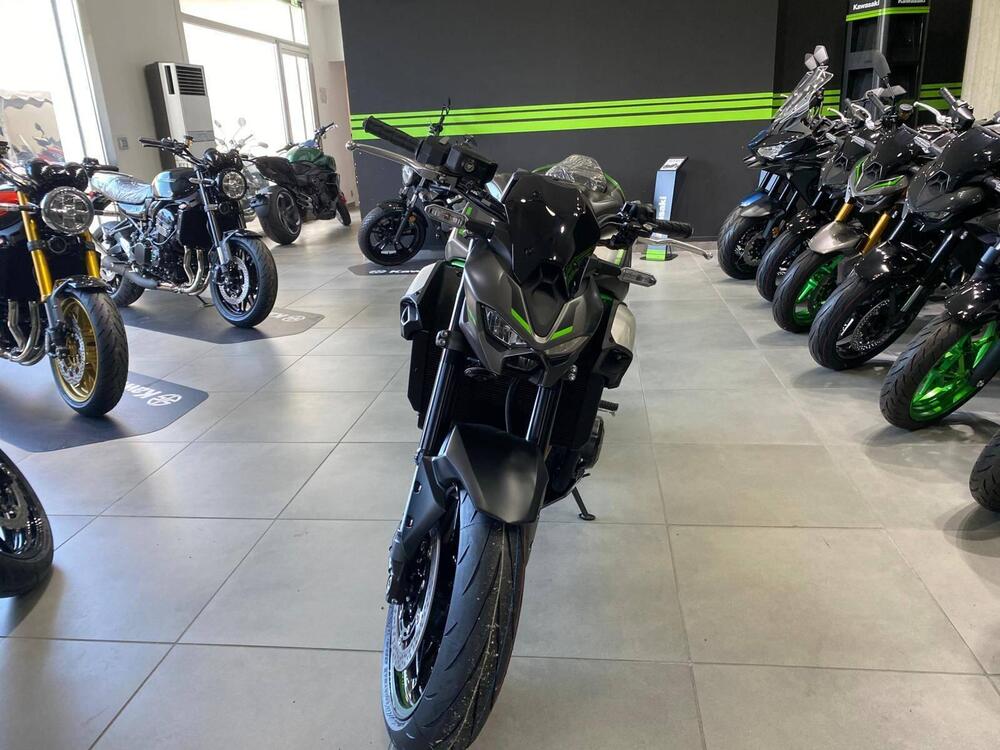 Kawasaki Z 900 (2025 - 26) (4)