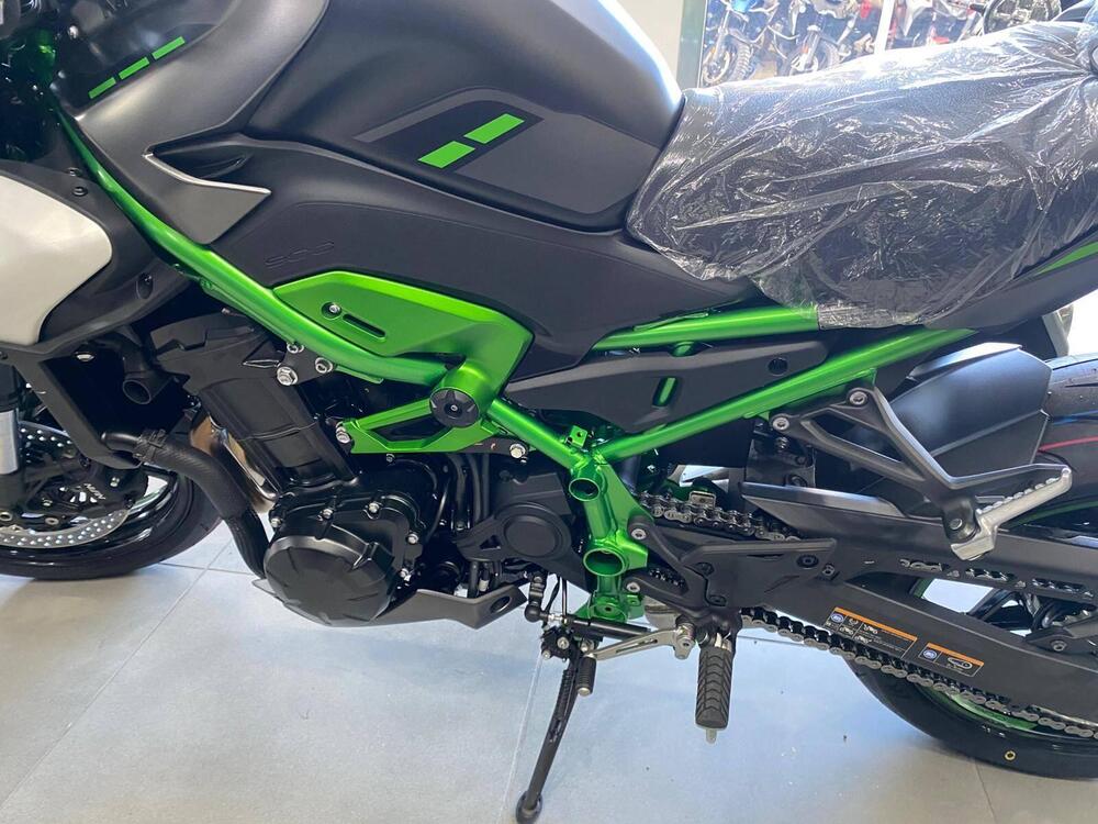 Kawasaki Z 900 (2025 - 26) (11)