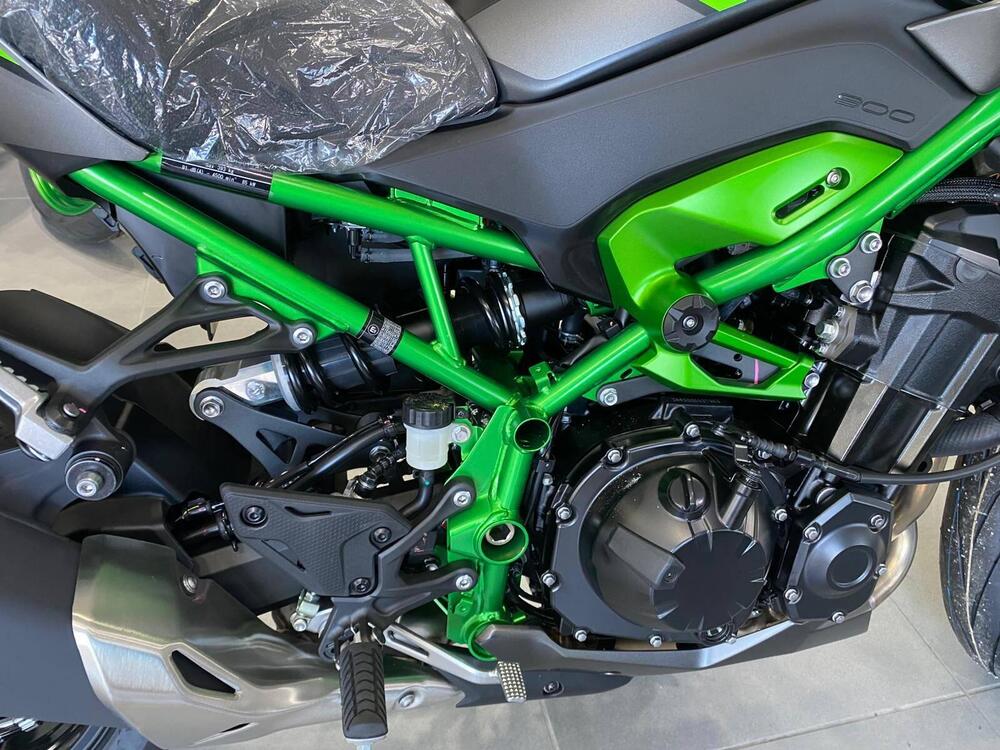 Kawasaki Z 900 (2025 - 26) (8)