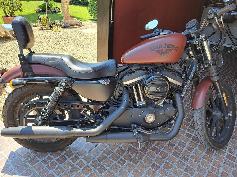 Harley-Davidson 883 Iron (2017 - 20) - XL 883N (2)