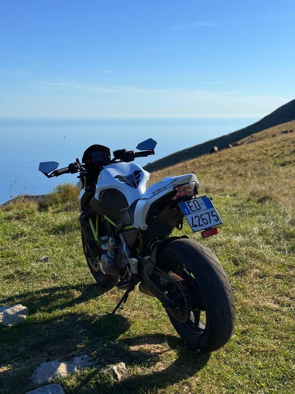Kawasaki Z 650 Performance (2019 - 20) (2)