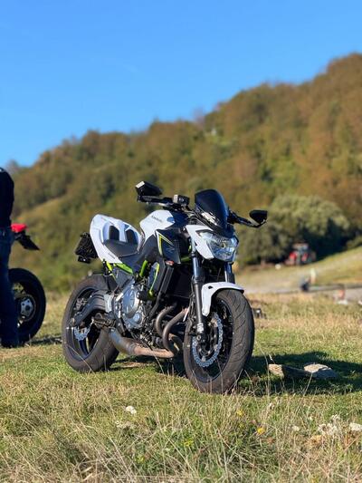 Kawasaki Z 650 Performance (2019 - 20) usata