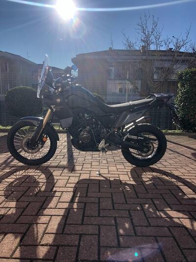 Yamaha T&eacute;n&eacute;r&eacute; 700 (2019 - 20) usata