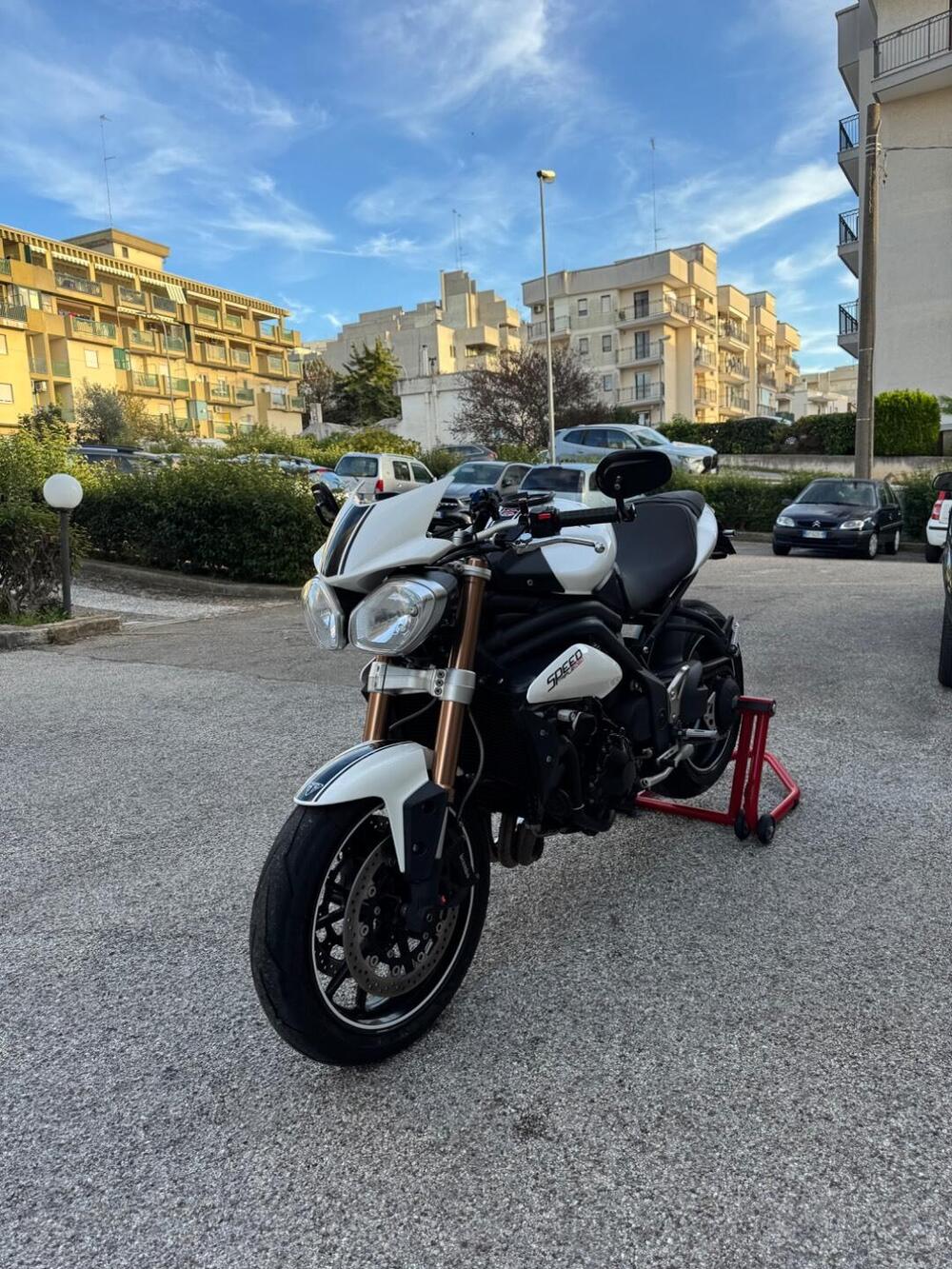 Triumph Speed Triple 1050 (2011 - 13) (7)