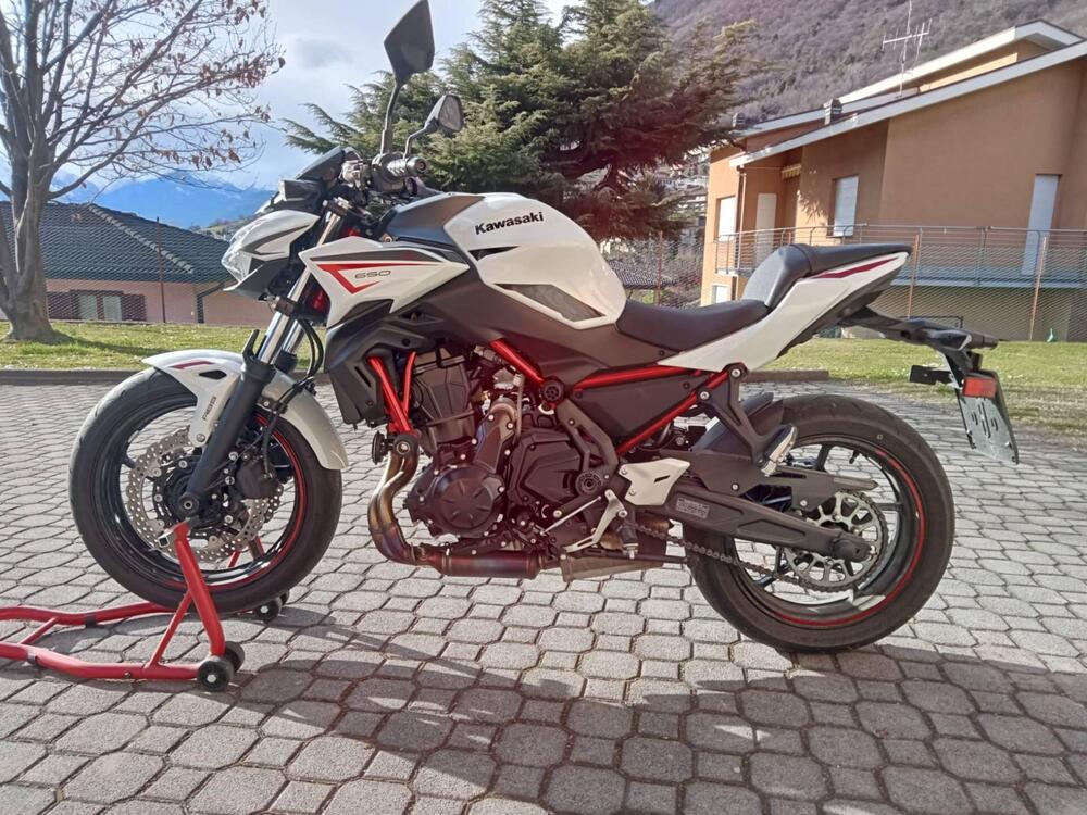 Kawasaki Z 650 (2021 - 24)